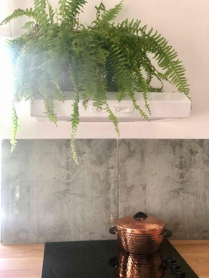 Into The Green Apartment Markt Nordheim エクステリア 写真